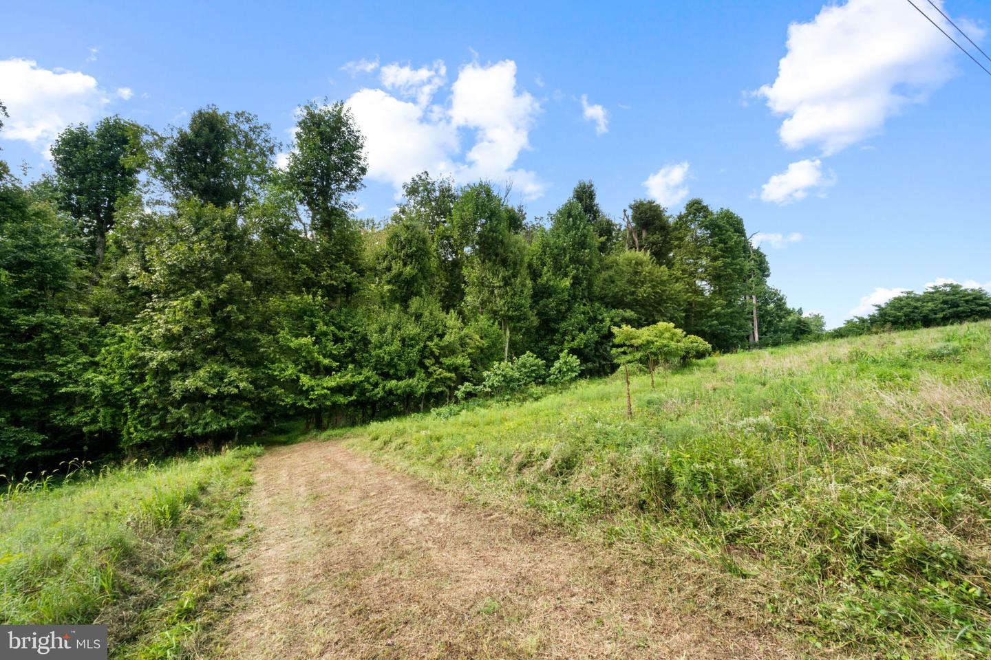 14002 Longnecker Property Photo 6