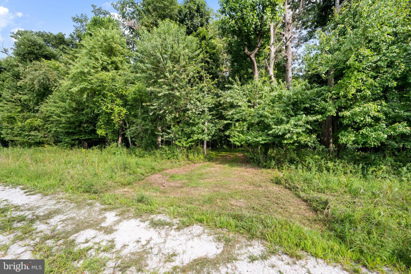 14002 Longnecker Property Photo 8