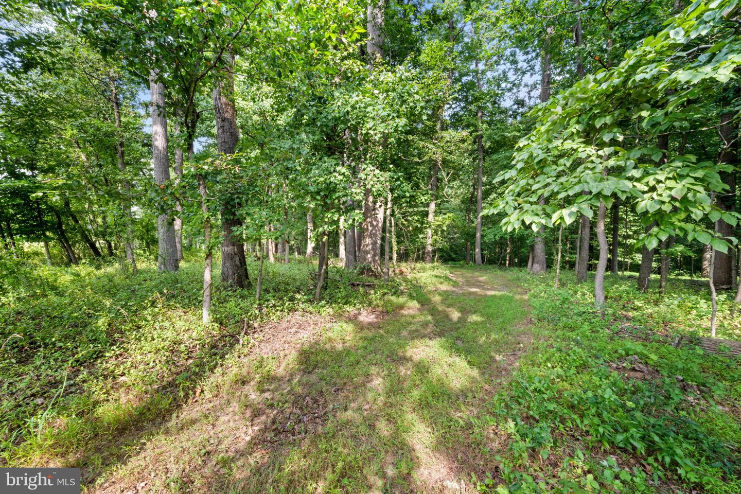 14002 Longnecker Property Photo 9