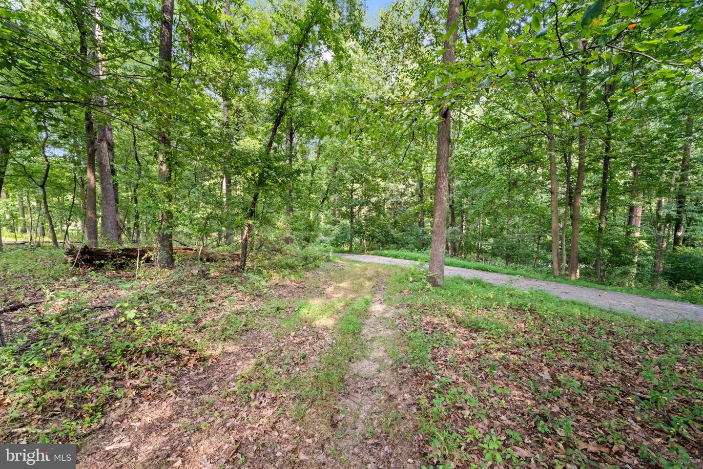 14002 Longnecker Property Photo 10