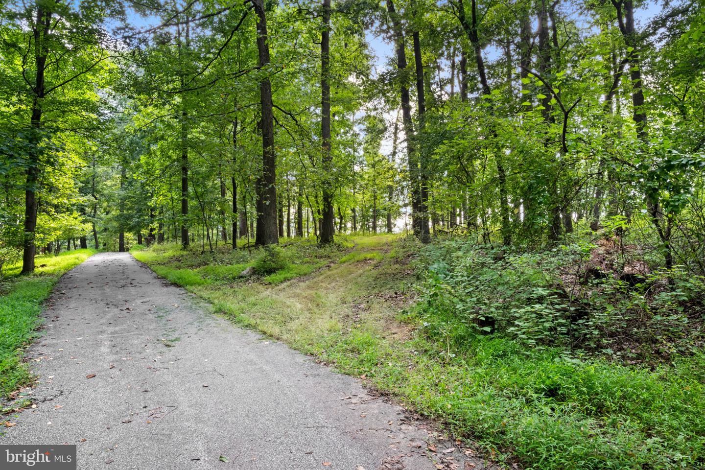 14002 Longnecker Property Photo 11