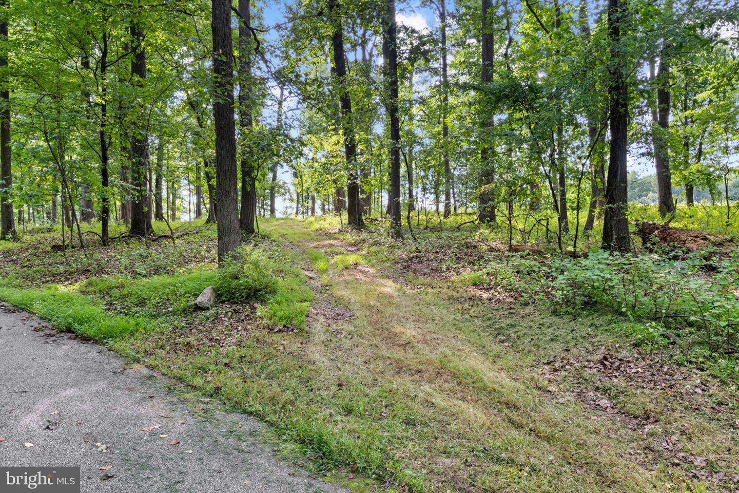 14002 Longnecker Property Photo 12