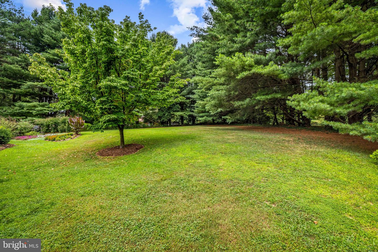 4 Turner Wood Ct Property Photo 55
