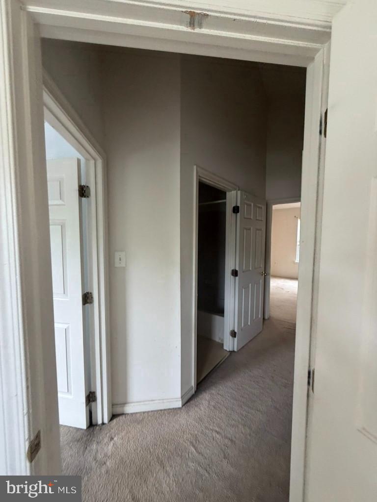 9540 Branchleigh Rd Property Photo 32