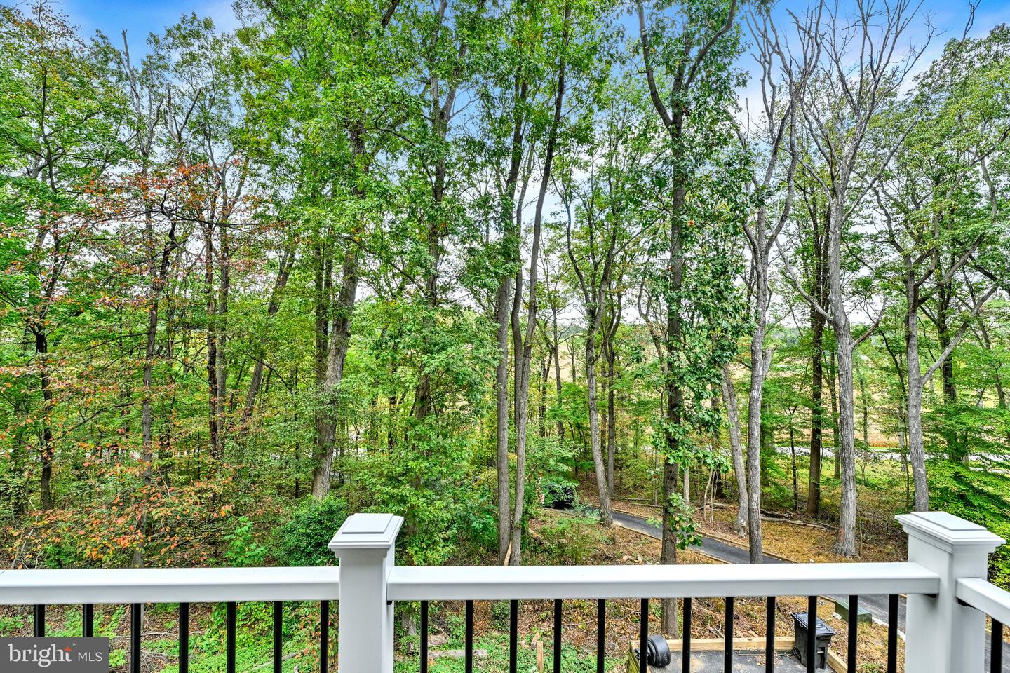5437 Glen Arm Rd Property Photo 31