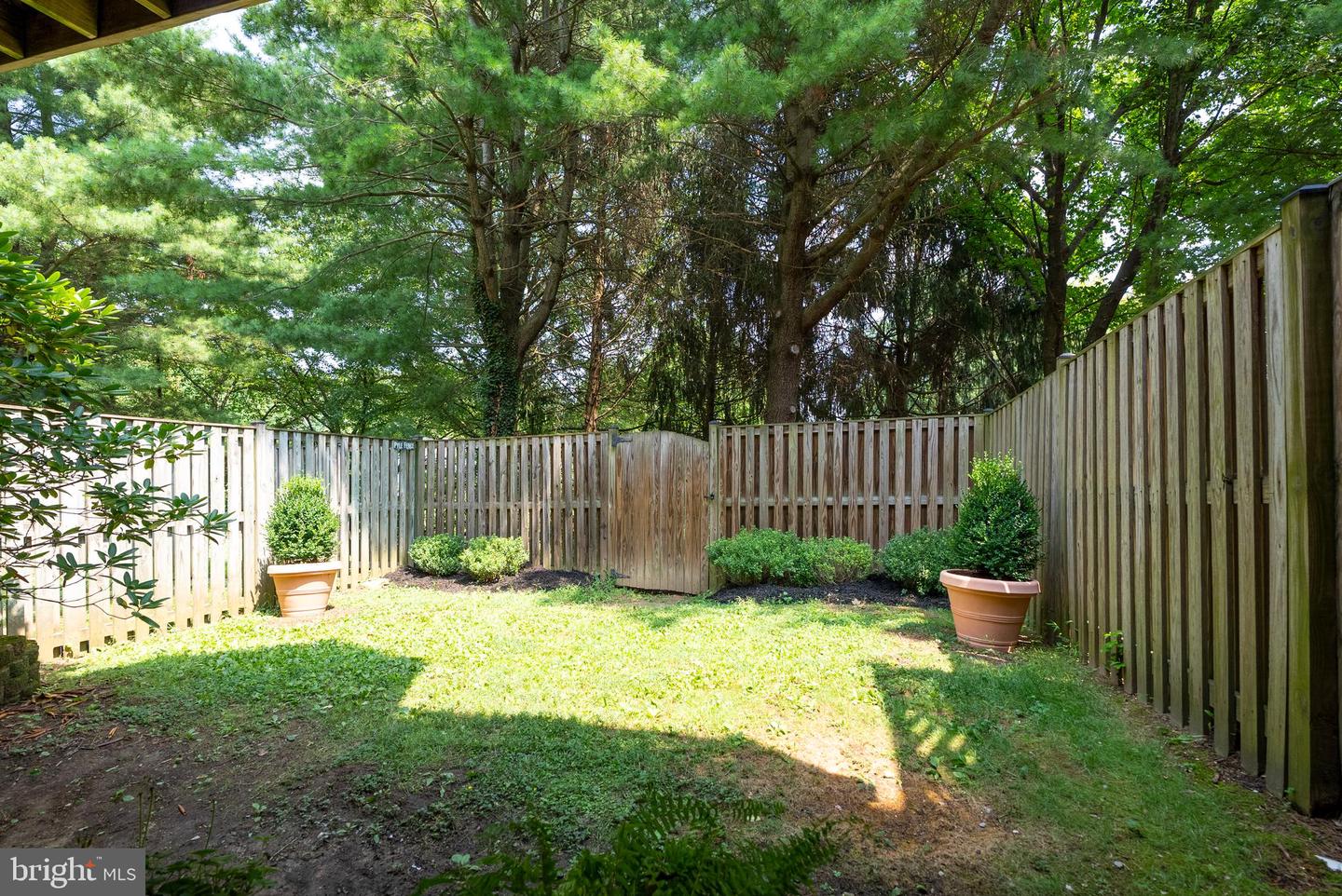 11905 Thurloe Dr Property Photo 54