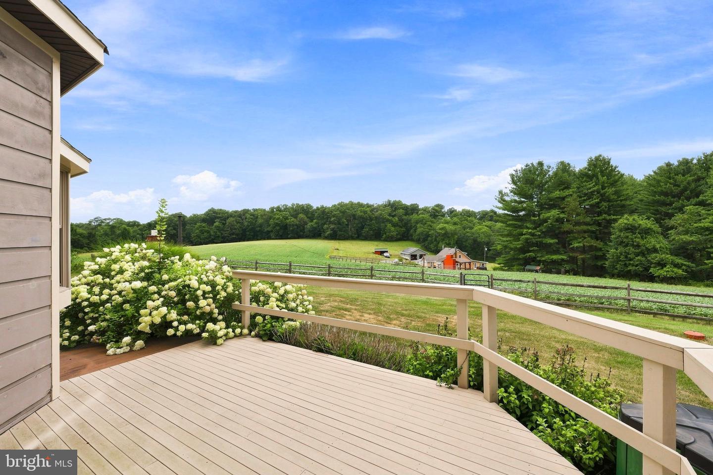 17330 Masemore Rd Property Photo 55
