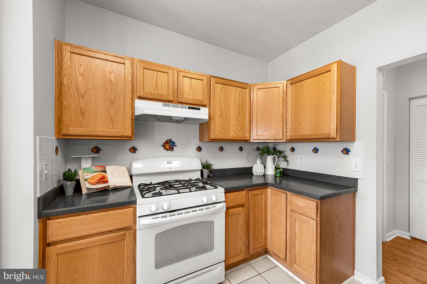 4503 Dunton Ter #8503 L Property Photo 16