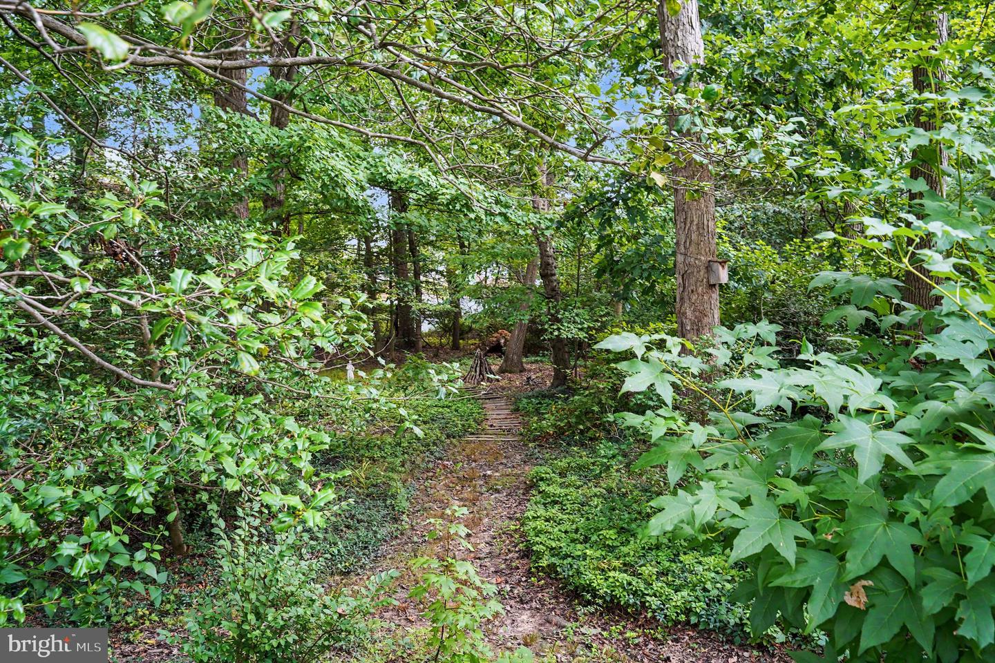 9817 Gunforge Rd Property Photo 44