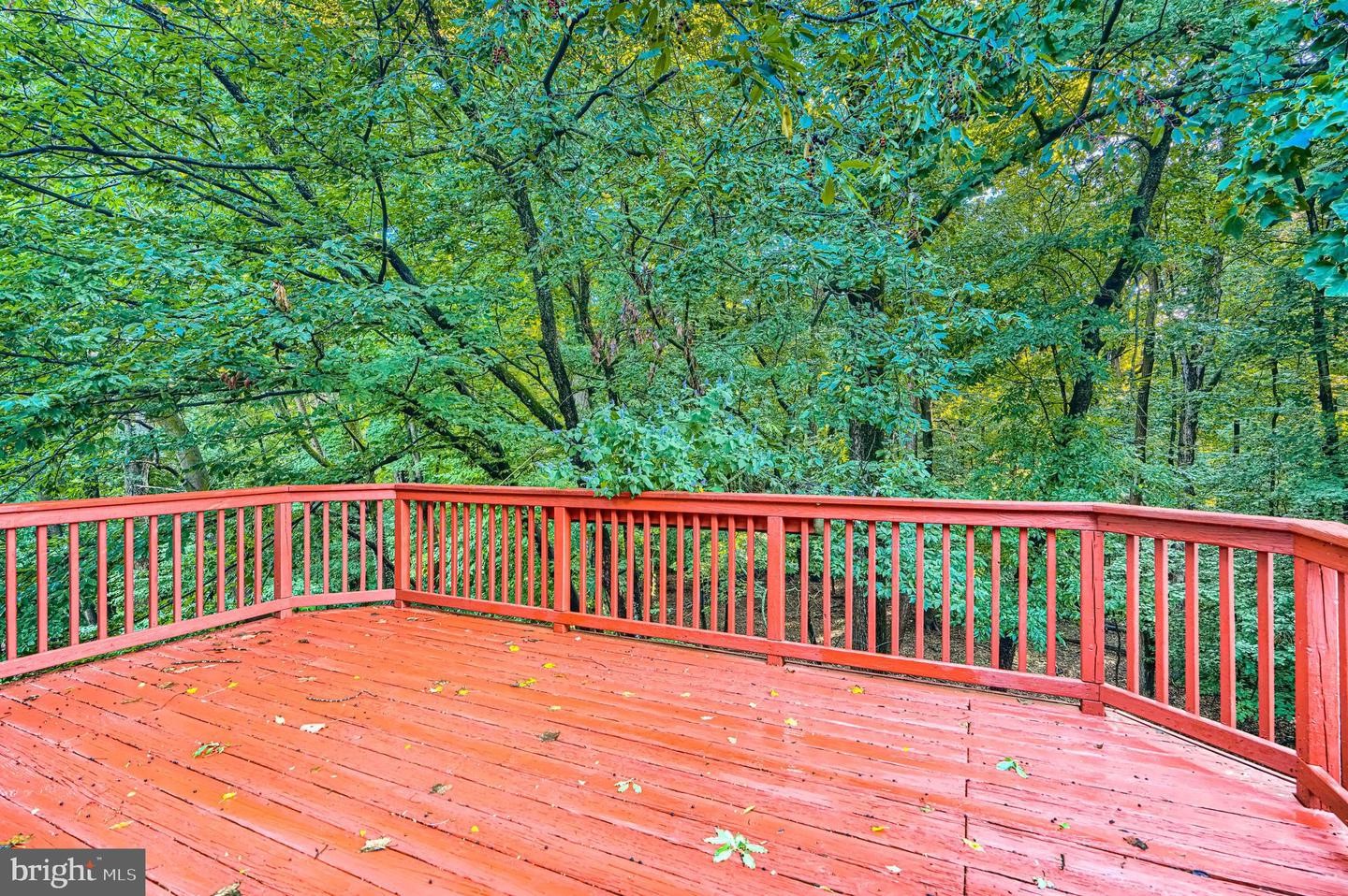 8 Lambeth Bridge Ct Property Photo 2