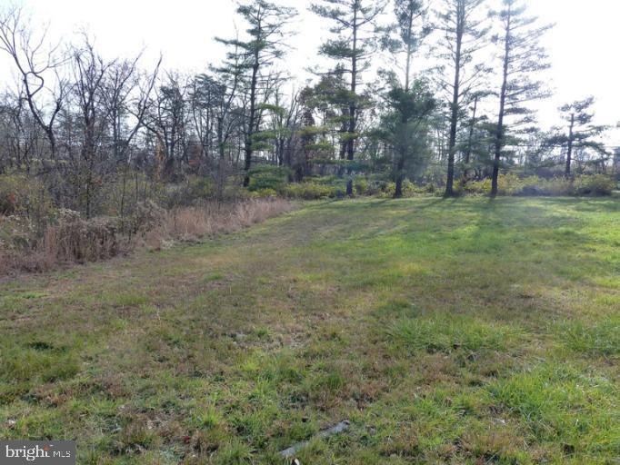 Pine Ave Property Photo 2