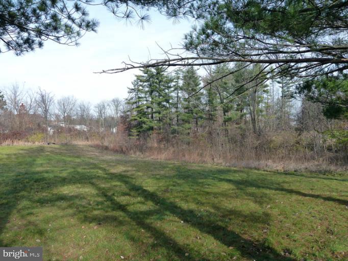 Pine Ave Property Photo 3
