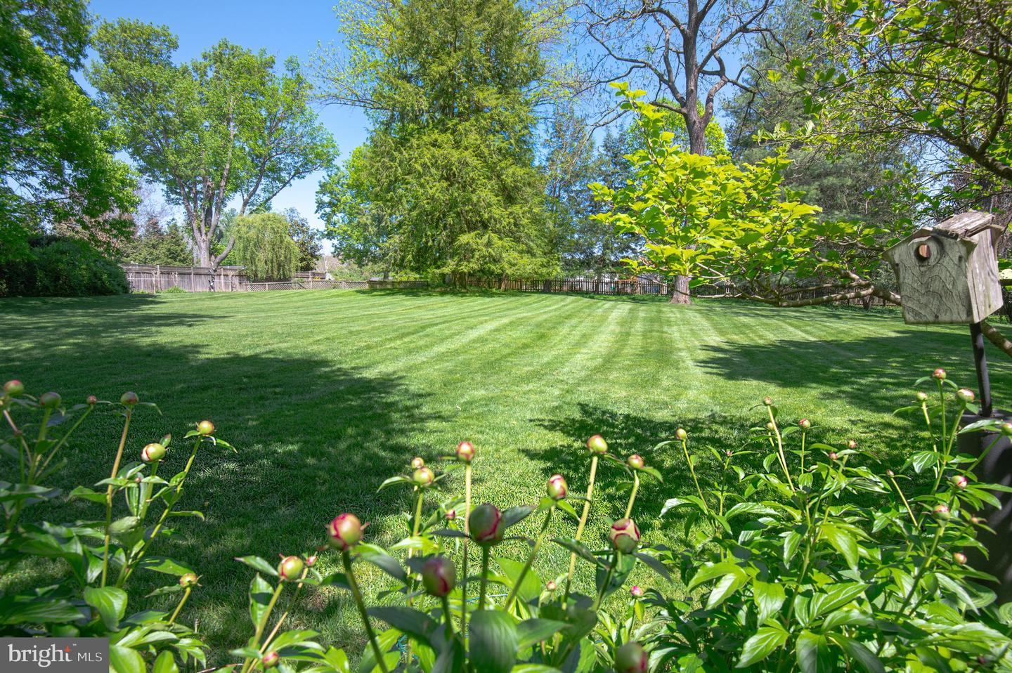 7819 Ellenham Ave Property Photo 42