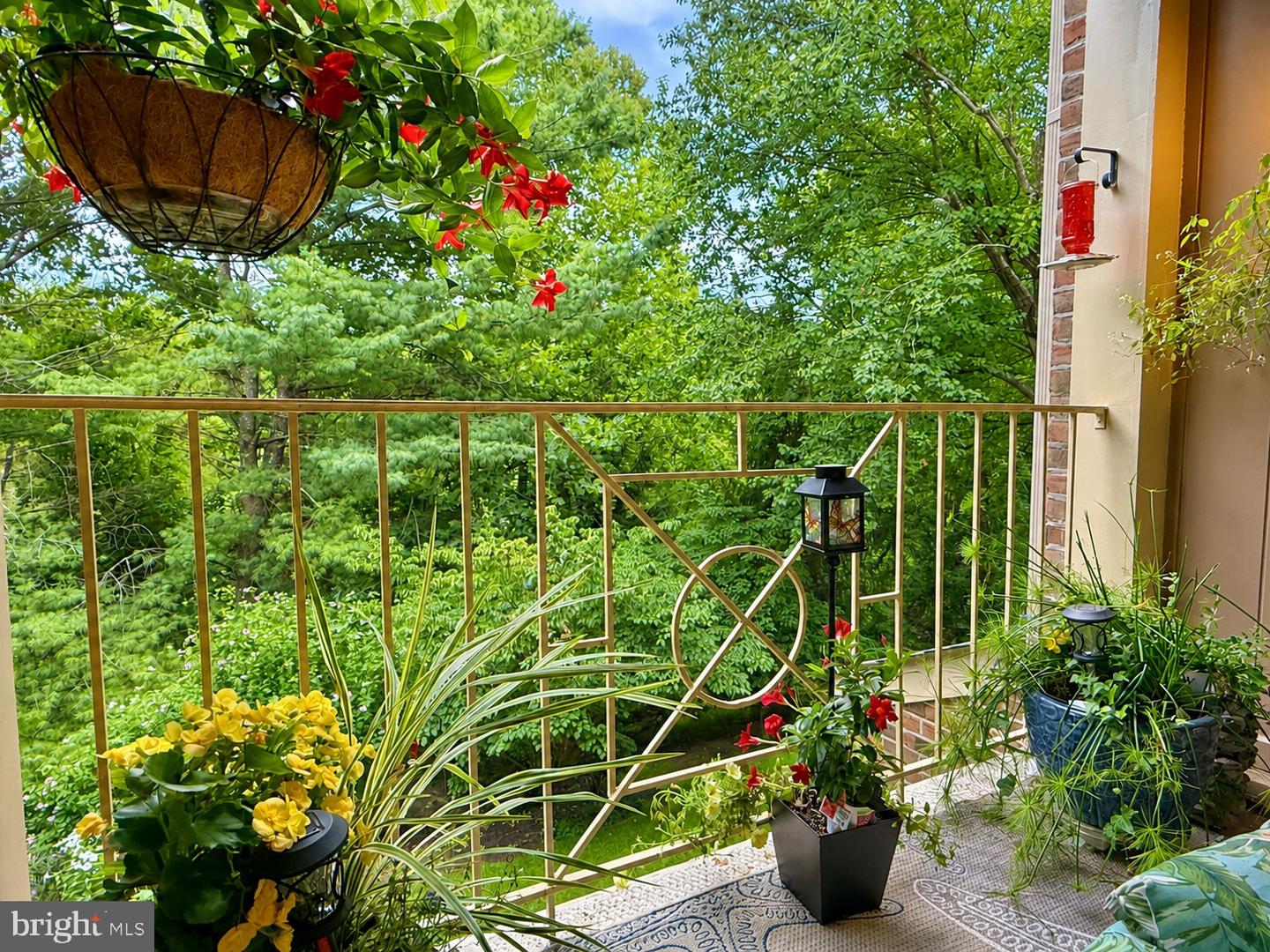 14209 Quail Creek Way #203 Property Photo 9