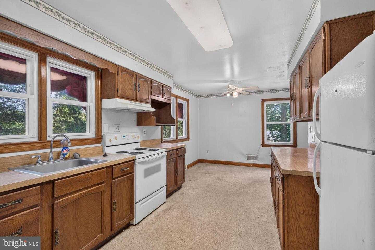 16 Balfred Ave Property Photo 15