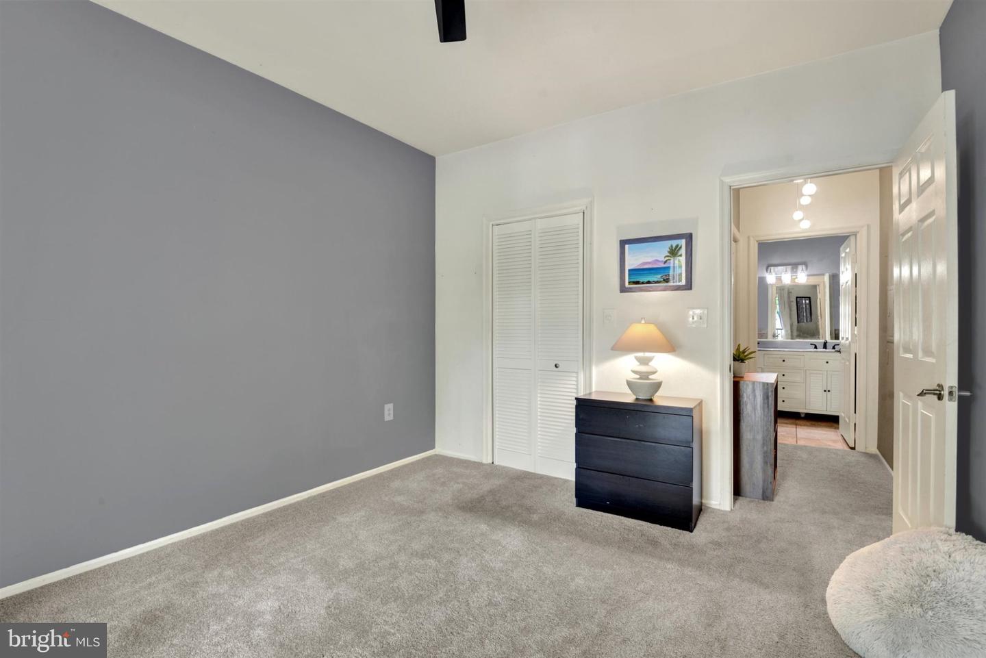 8807 Groffs Mill Dr #8807 Property Photo 12