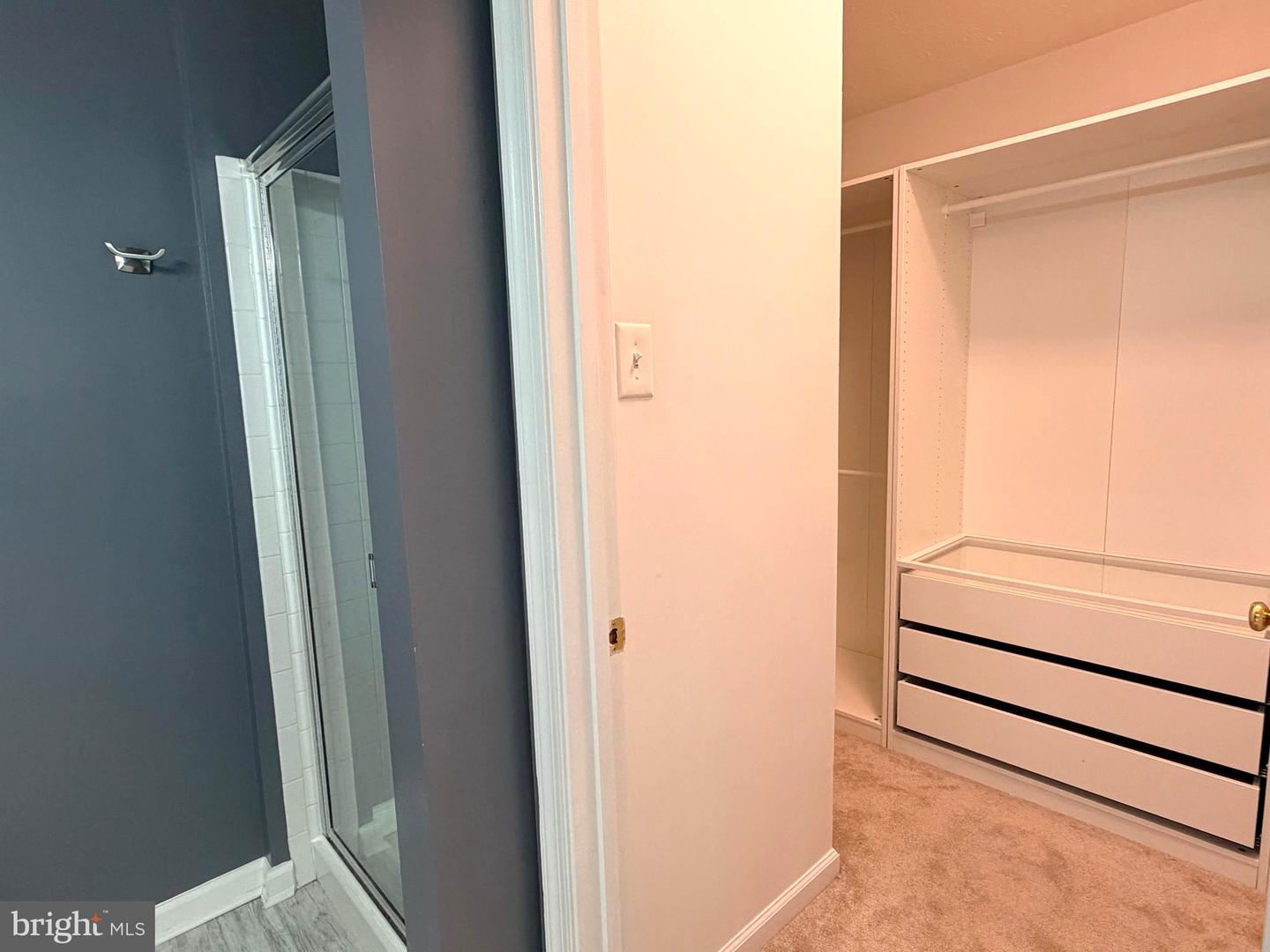 5 Silver Birch Ct Property Photo 27