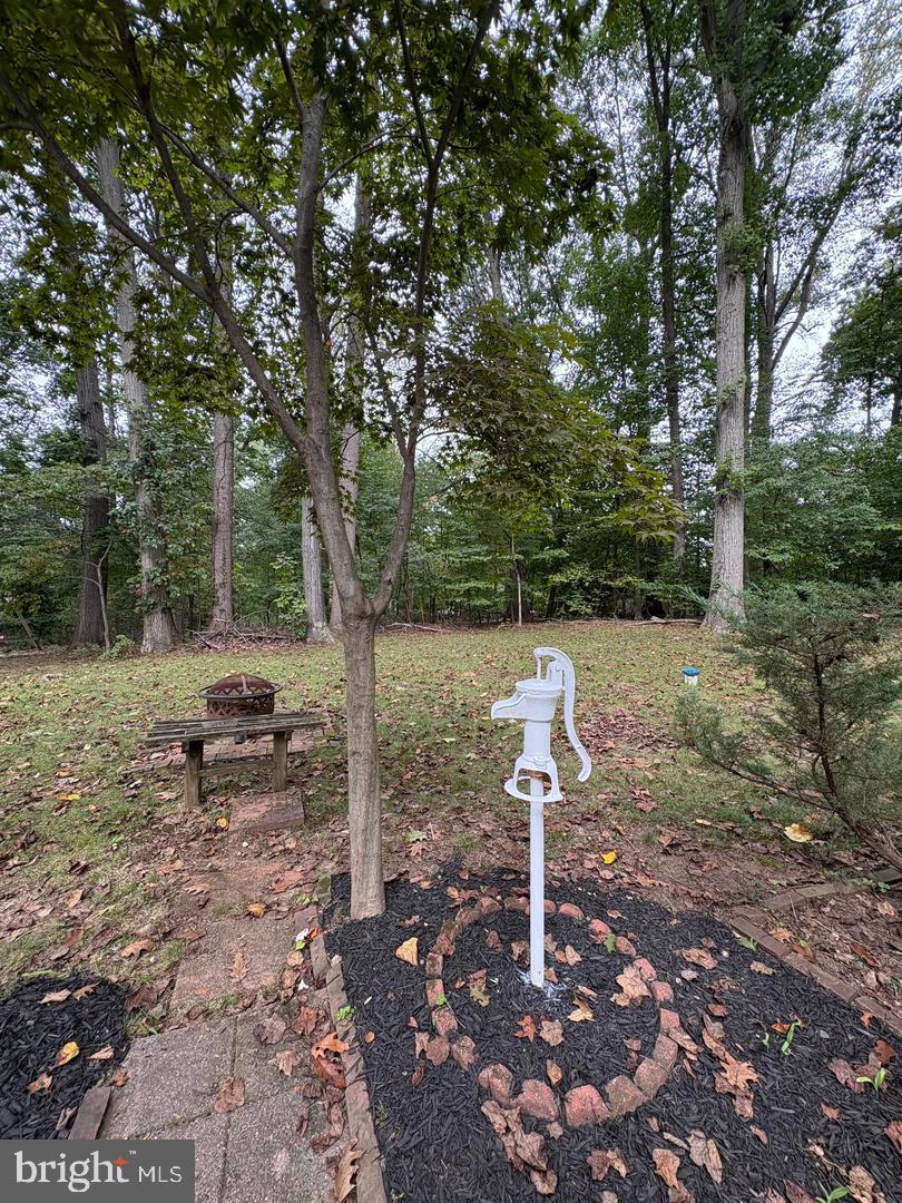 3306 Whitesworth Rd Property Photo 28