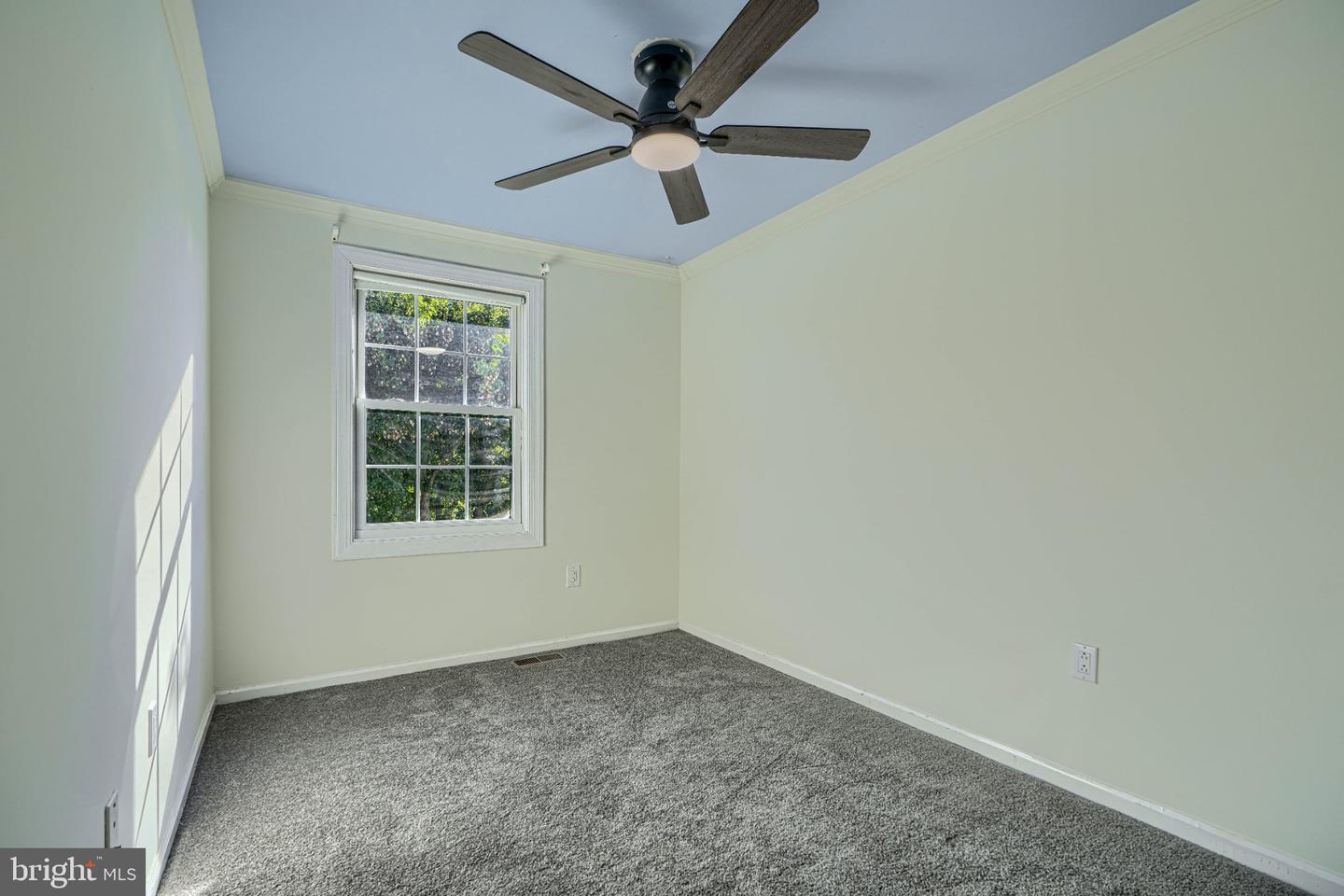 12 Bantry Ct Property Photo 28