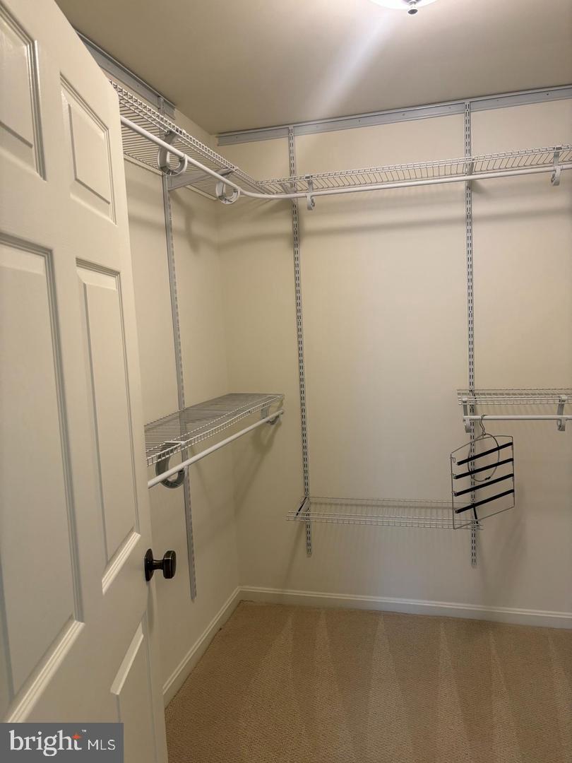 12011 Tralee Rd #302 Property Photo 17