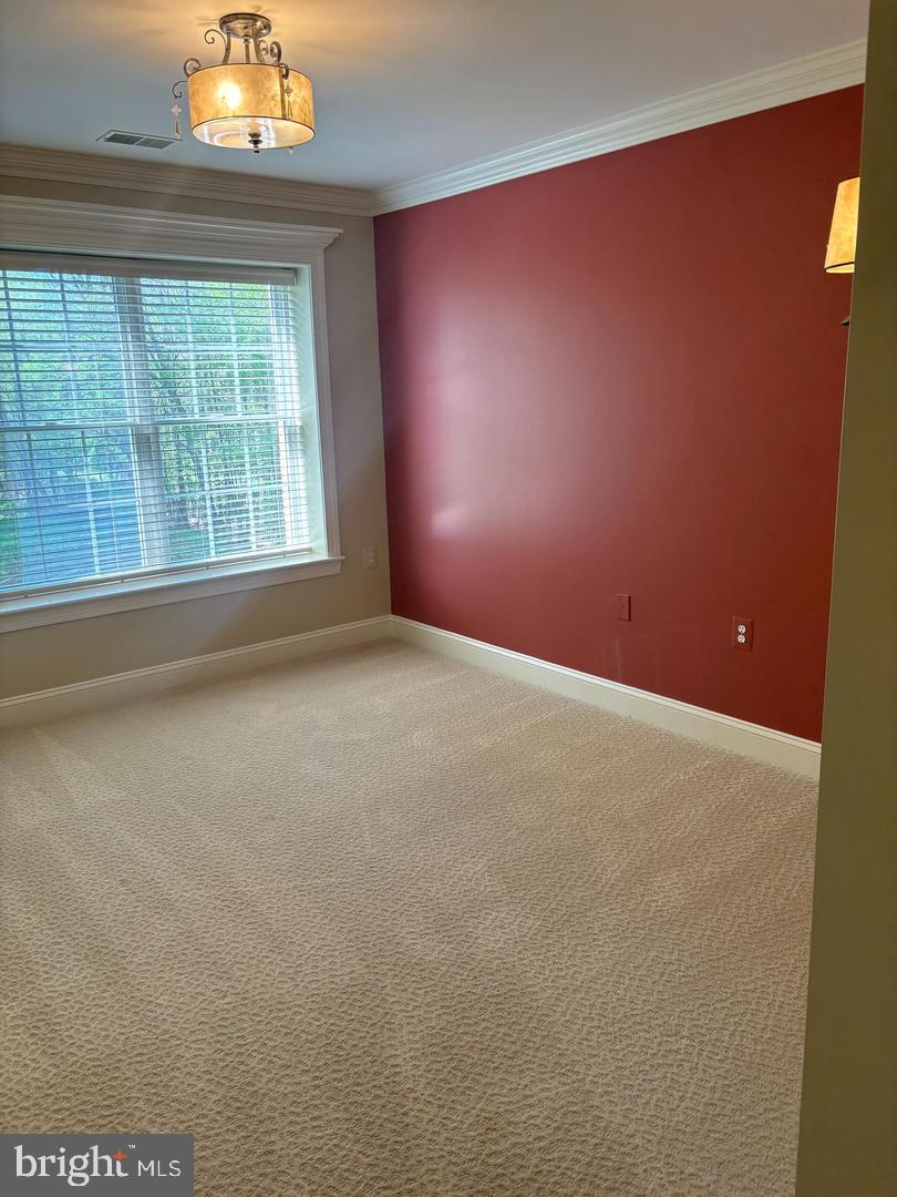 12011 Tralee Rd #302 Property Photo 34
