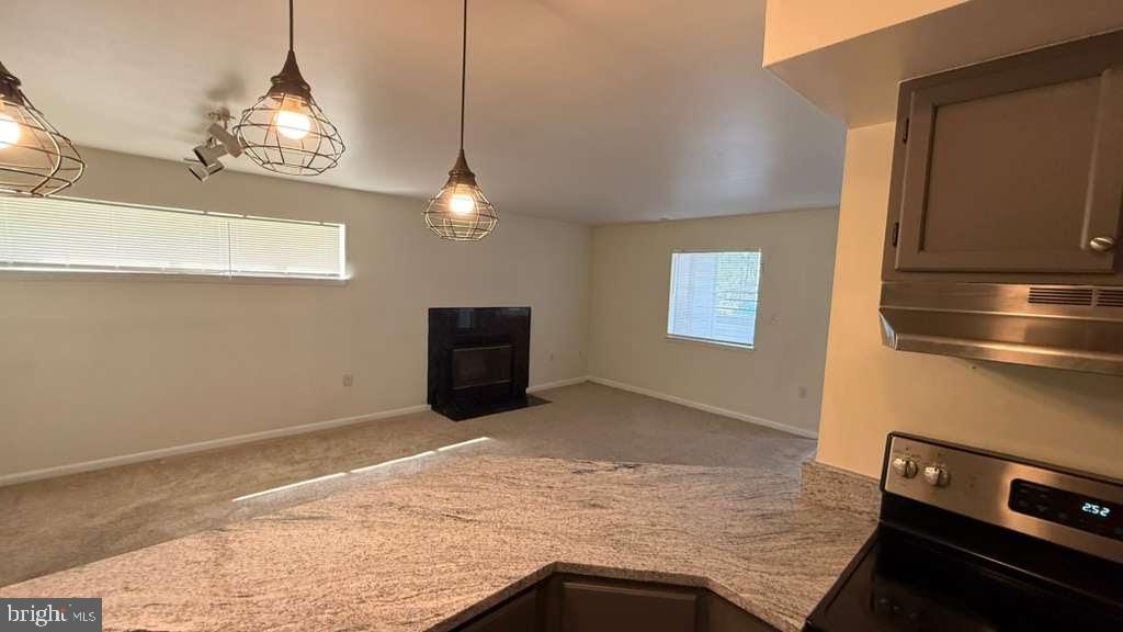 8103 Greenspring Way #b Property Photo 21