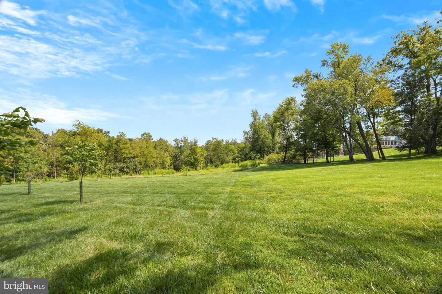 16011 Baconsfield Ln Property Photo 100