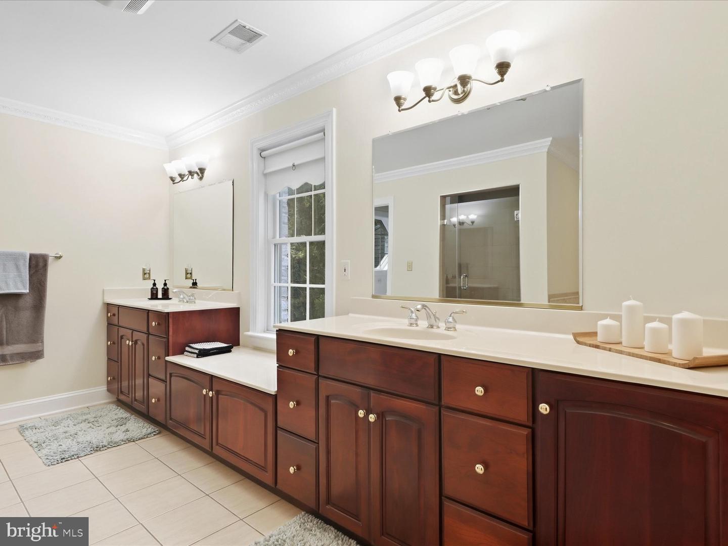 2606 Chestnut Woods Ct Property Photo 21