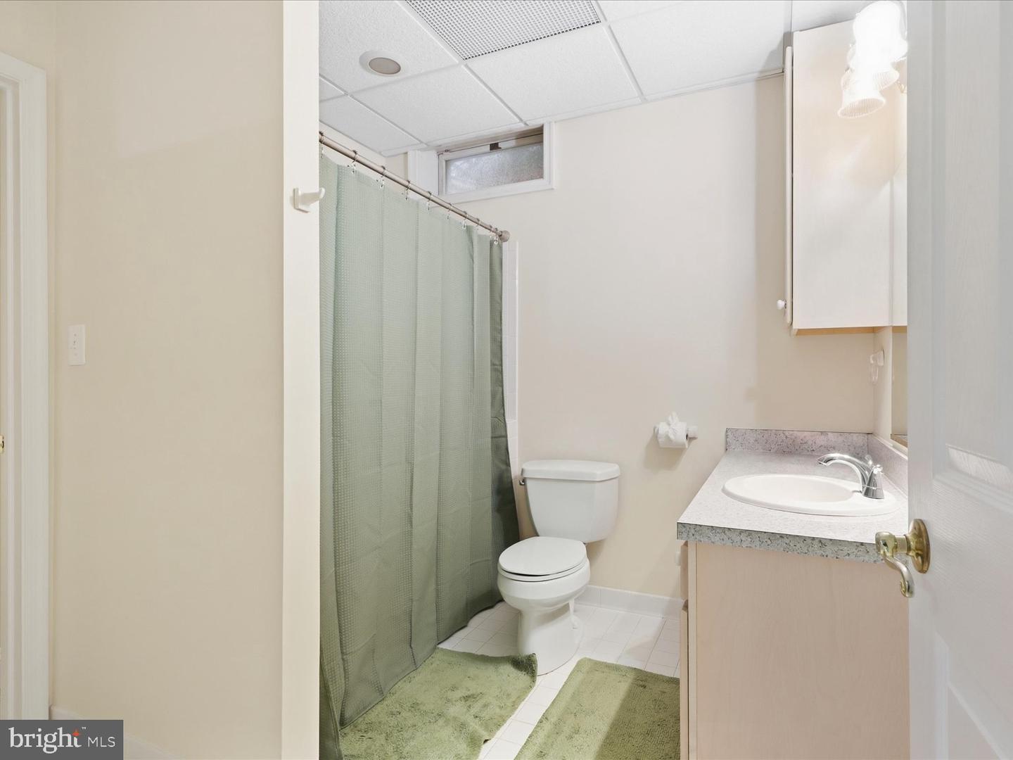2606 Chestnut Woods Ct Property Photo 42