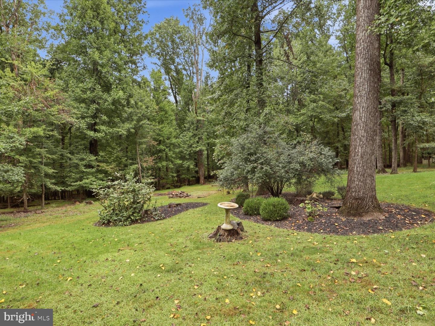 2606 Chestnut Woods Ct Property Photo 45