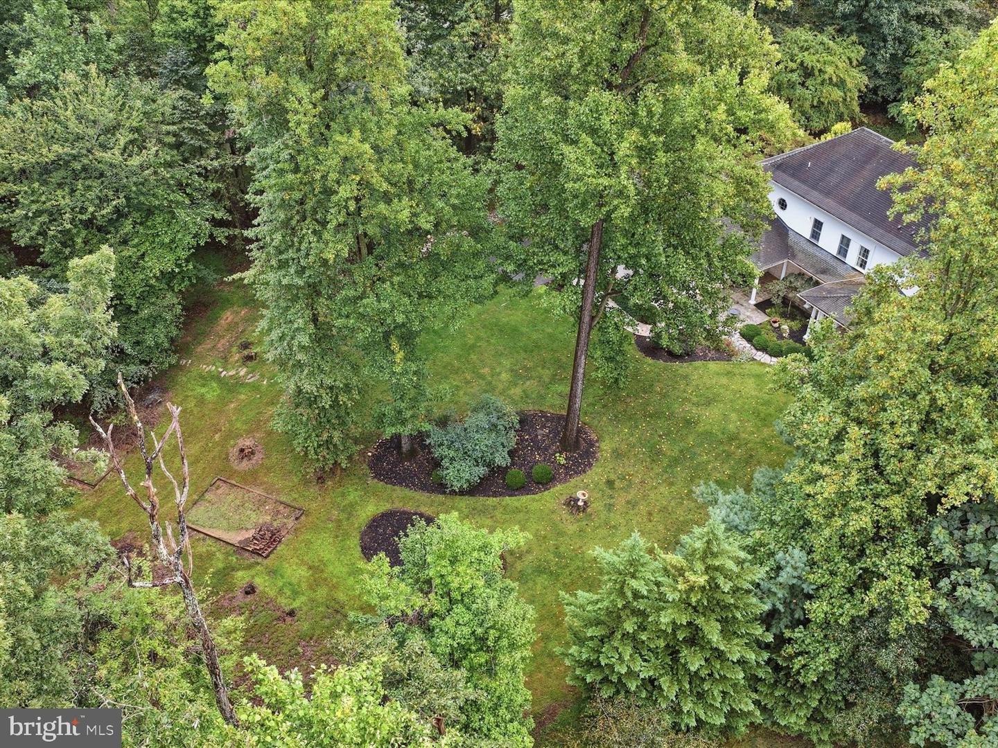 2606 Chestnut Woods Ct Property Photo 52