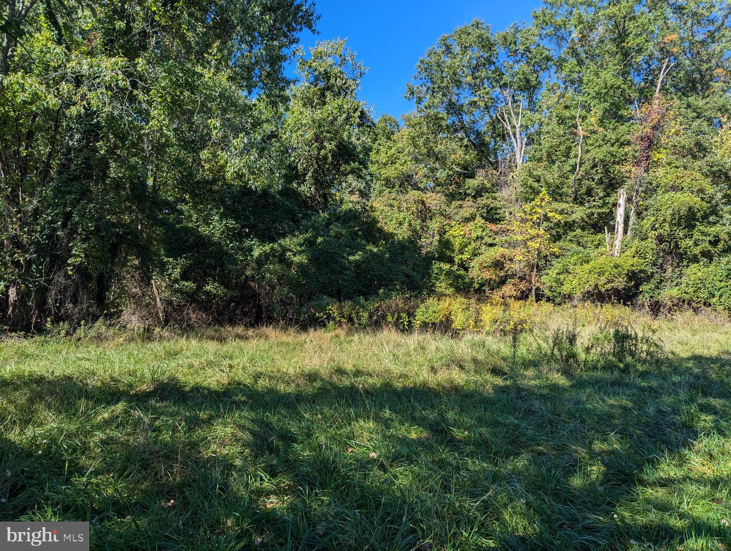 9428 Ridgely Ave Property Photo 10