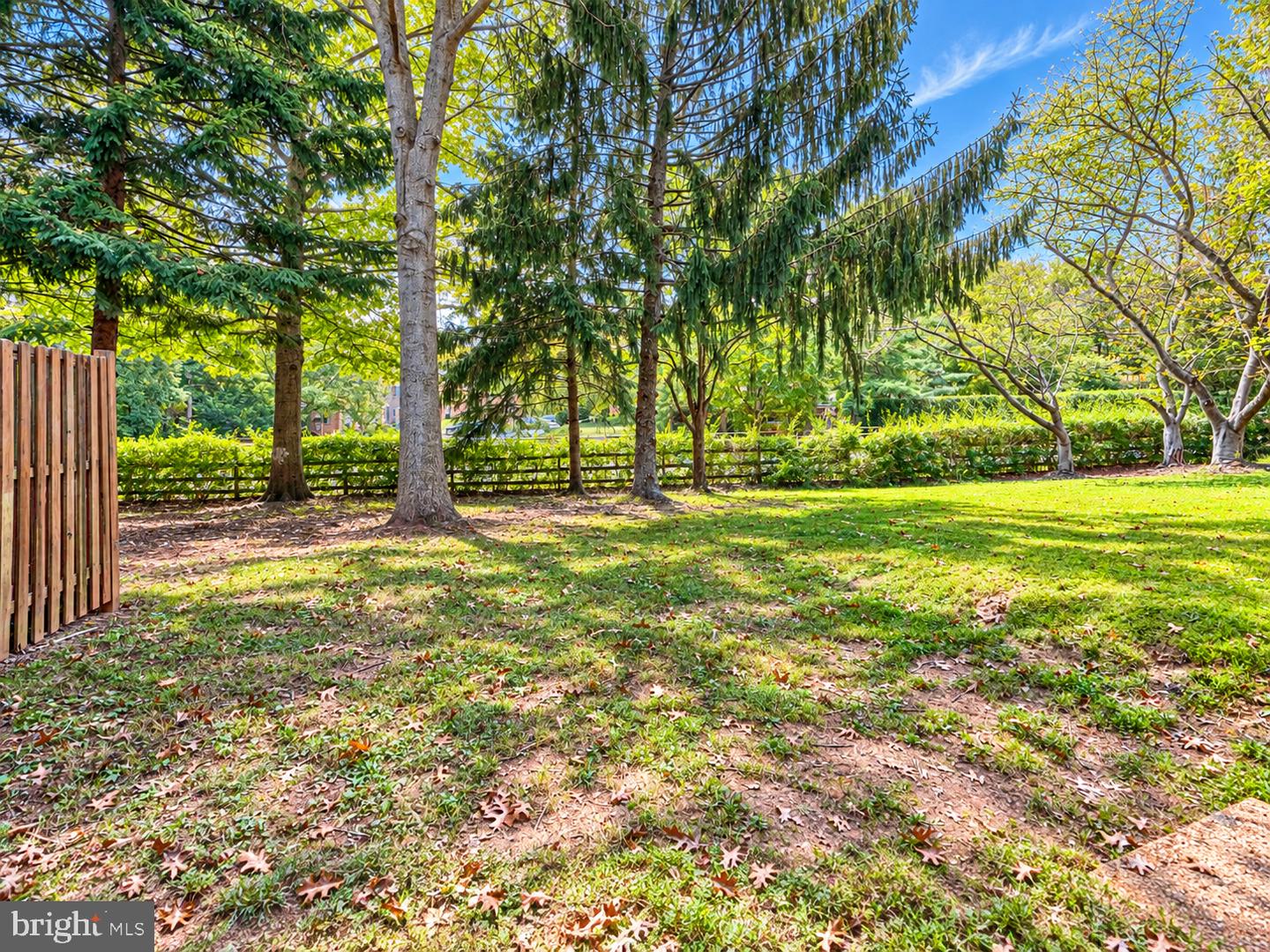 10 The Strand Property Photo 35