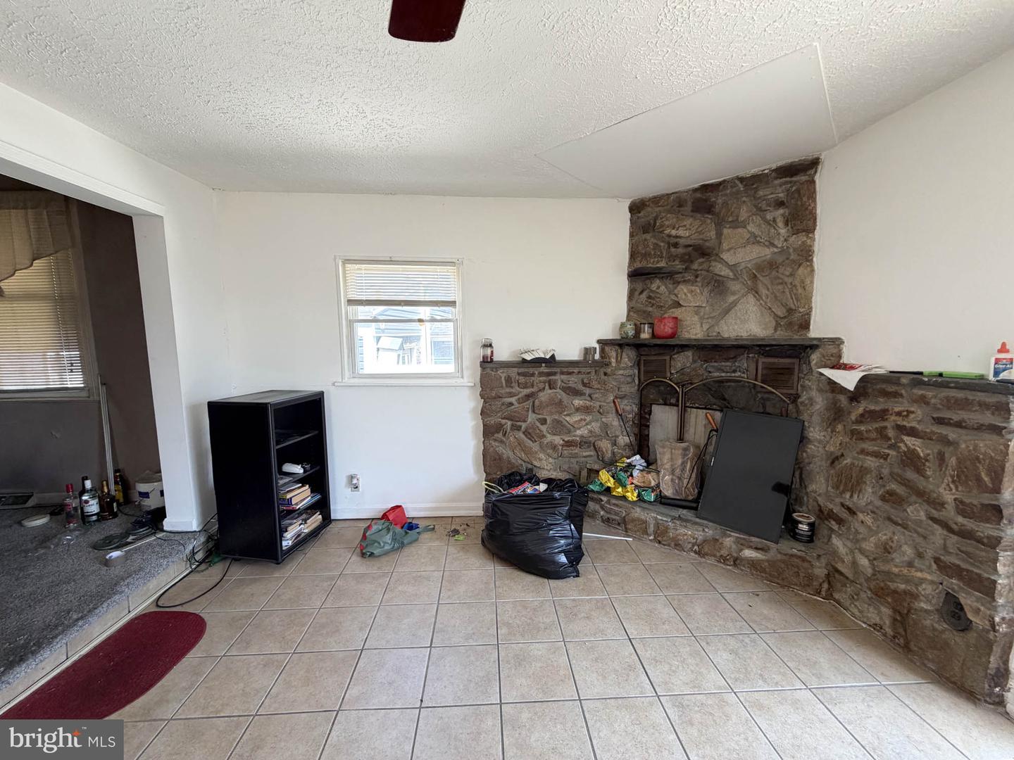 101 Delmar Ave Property Photo 5