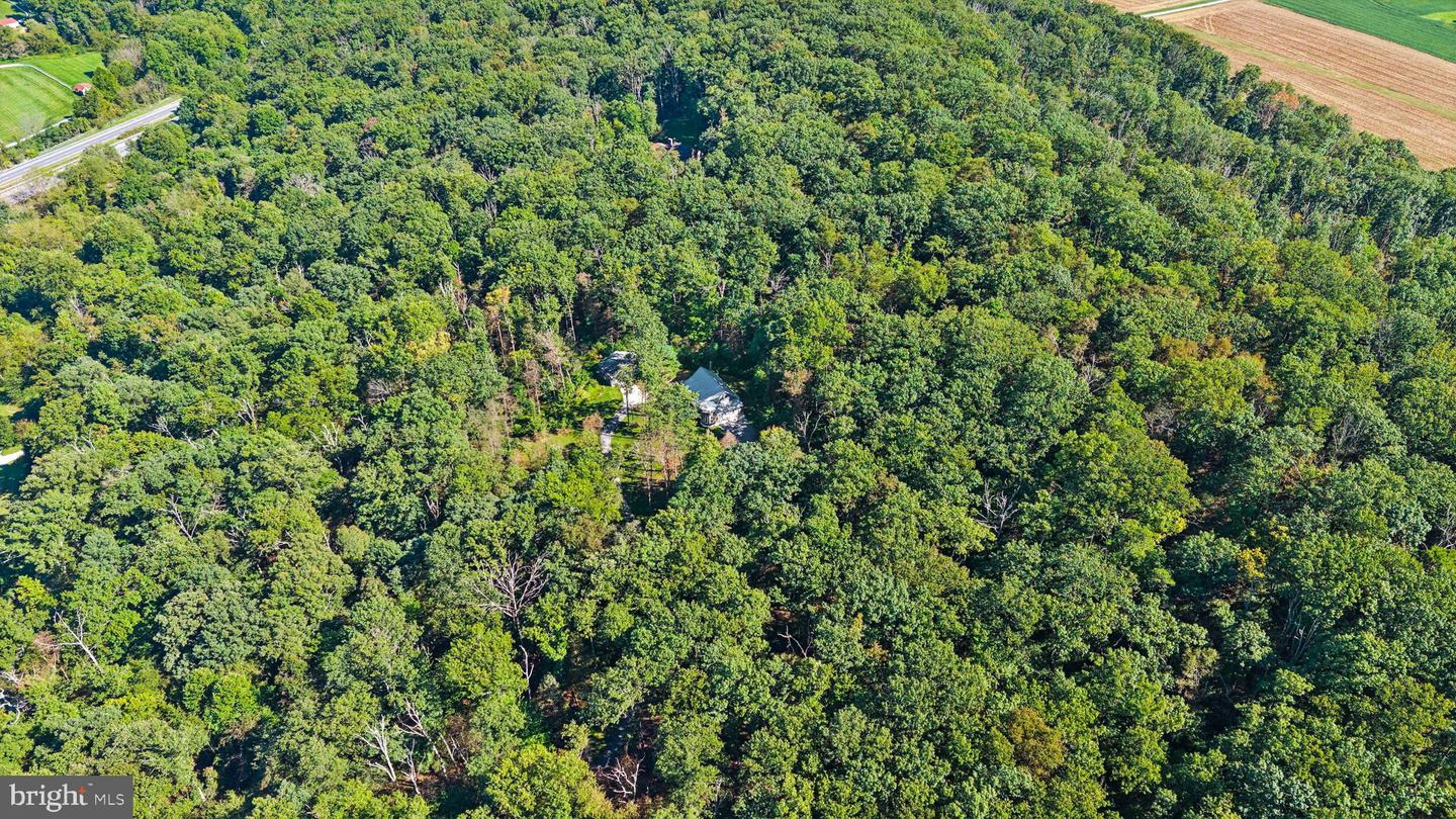 851 Bacon Hall Rd Property Photo 59