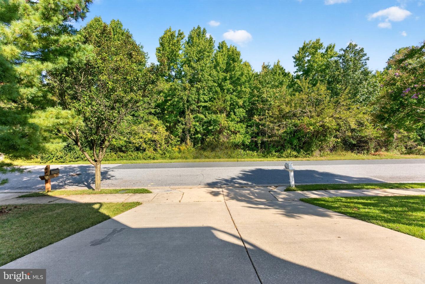4415 Todd Point Ln Property Photo 51