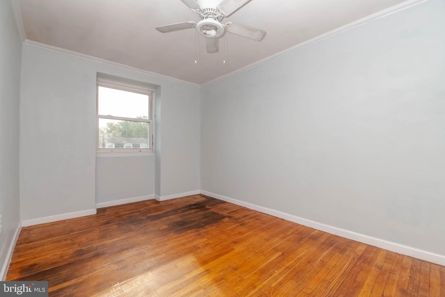 33 Bladen Rd Property Photo 25