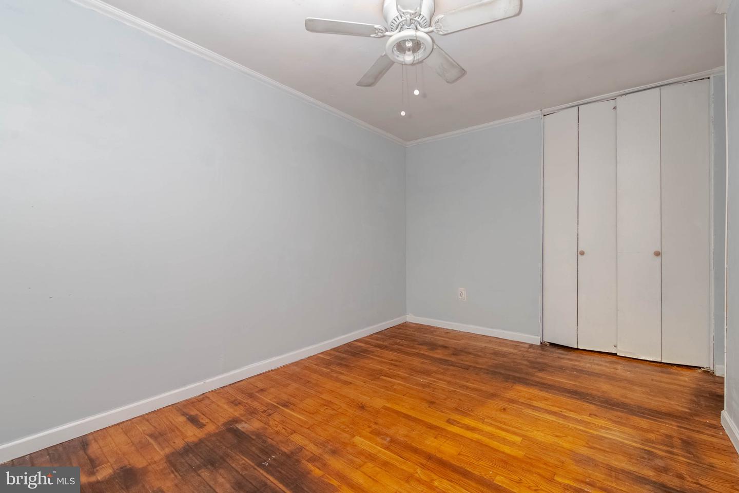 33 Bladen Rd Property Photo 26