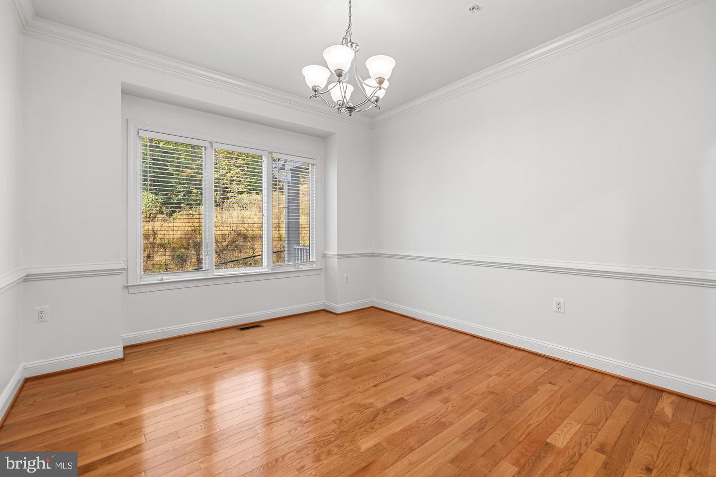 6716 Newstead Ln Property Photo 14