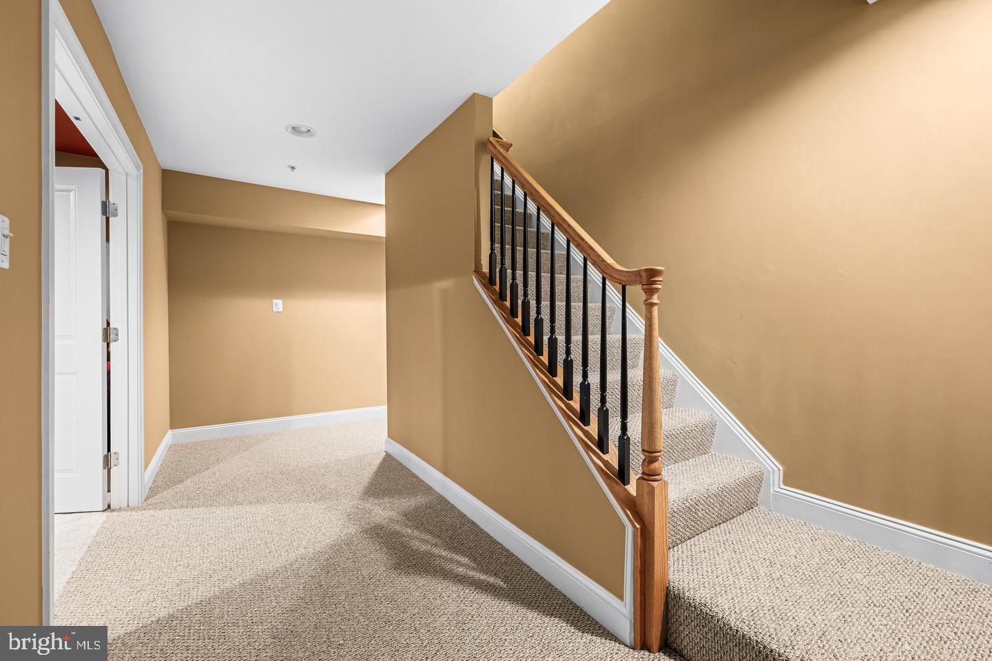 6716 Newstead Ln Property Photo 53