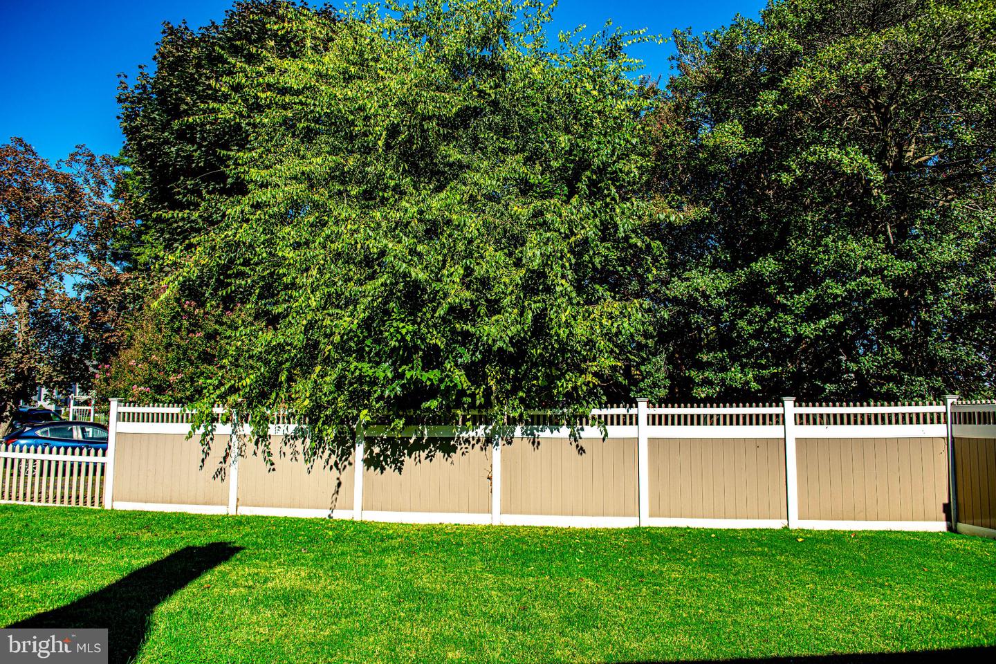 1827 Walnut Ave Property Photo 24