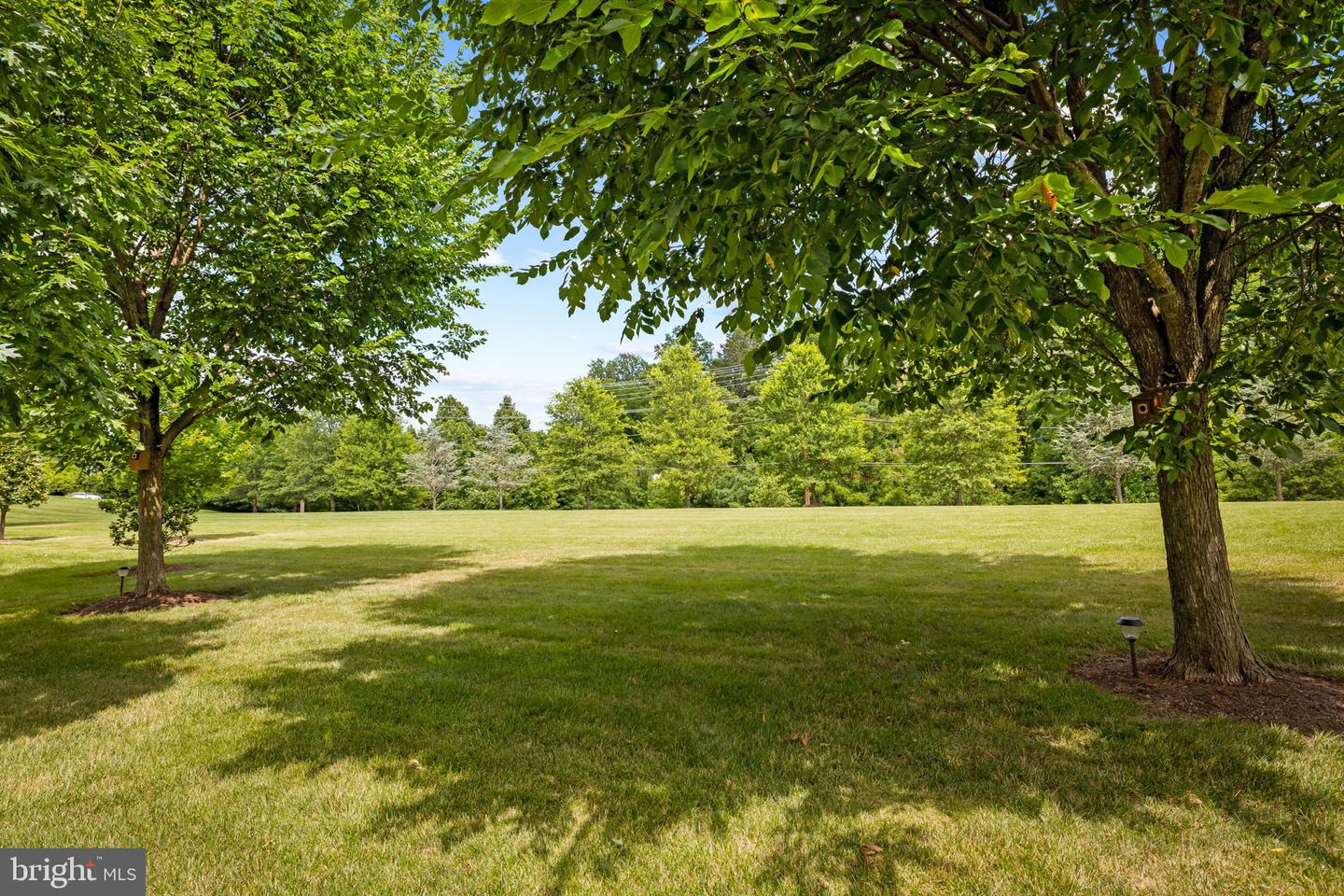 14017 Fox Hill Rd Property Photo 38