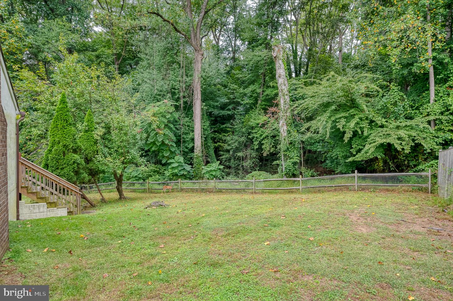 12 Jacobo Ln Property Photo 71
