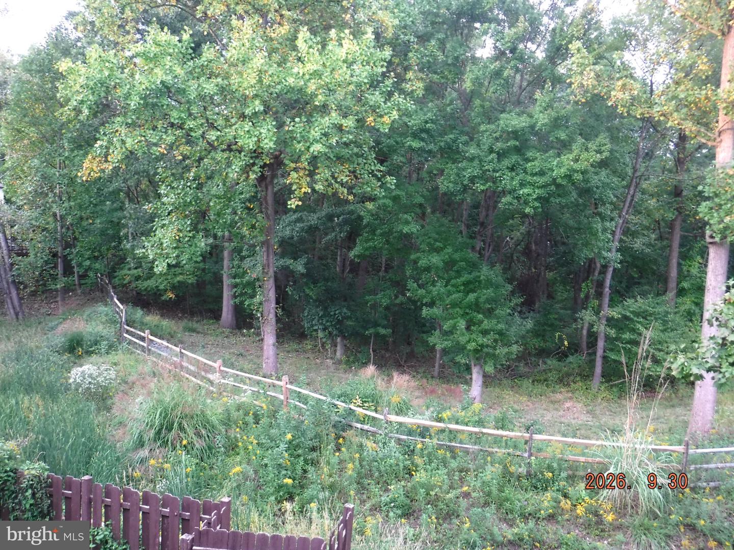 5328 Castlestone Dr Property Photo 5