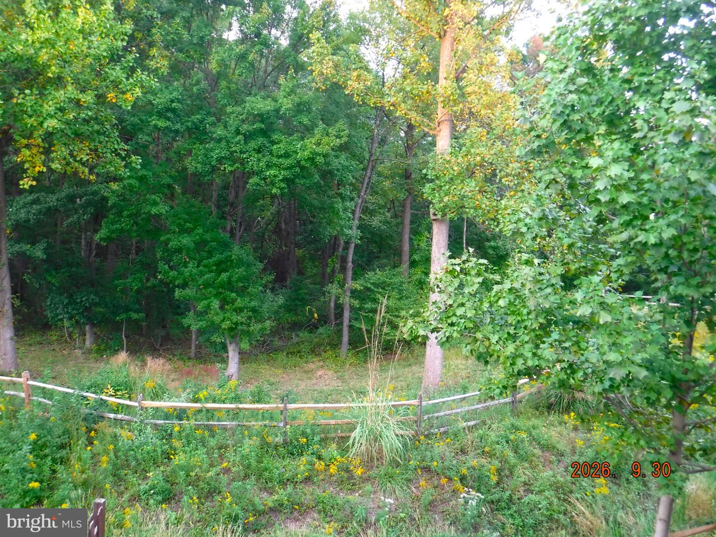 5328 Castlestone Dr Property Photo 6