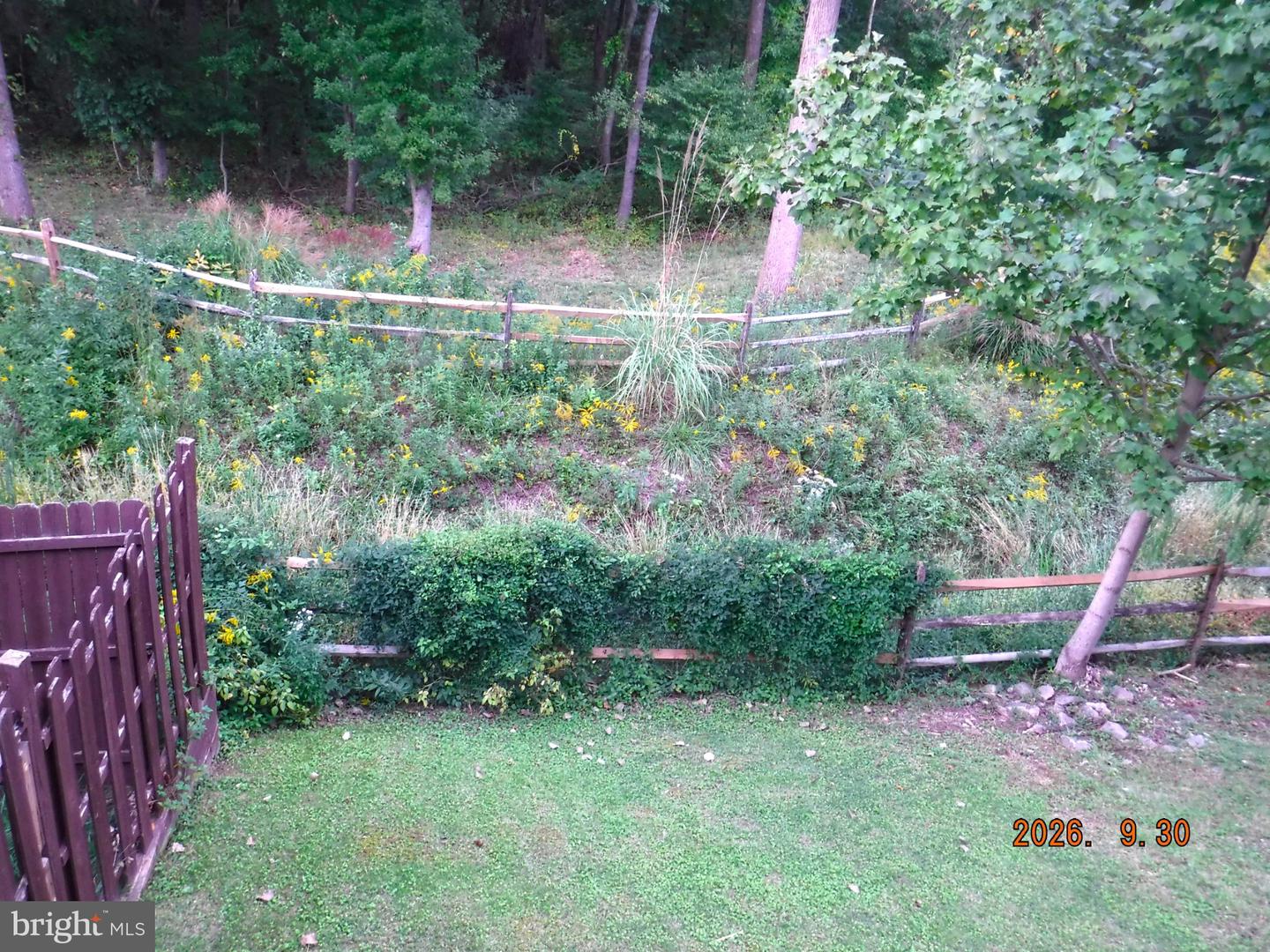 5328 Castlestone Dr Property Photo 7