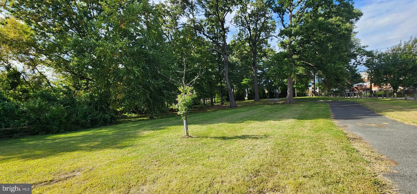 213 Riverthorn Rd Property Photo 36