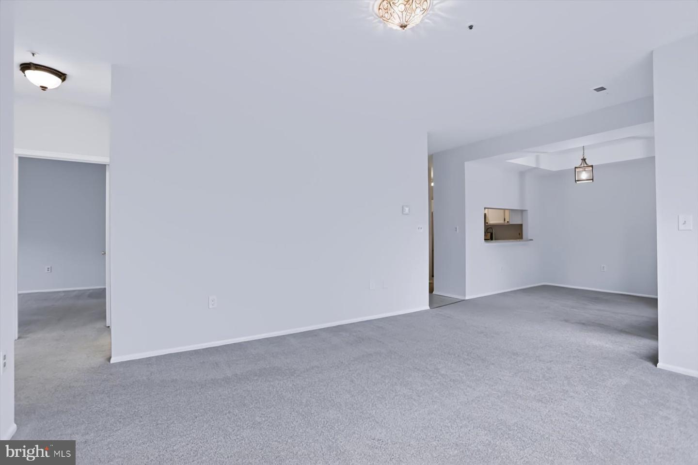 9005 Groffs Mill Dr #9005 Property Photo 12