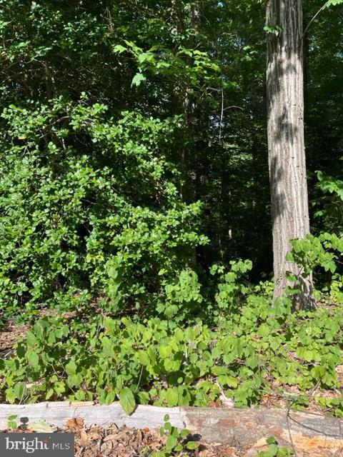 8202 Sycamore Rd Property Photo 5