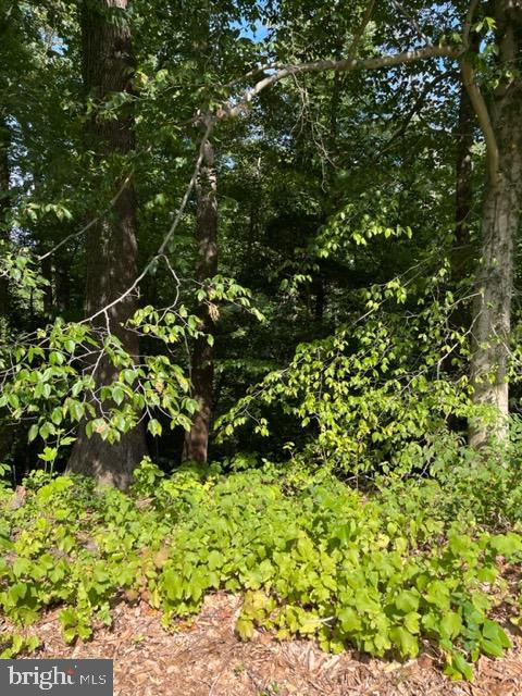 8202 Sycamore Rd Property Photo 6